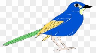 Bird Blue Jay Download - Pajaro Clipart - Png Download