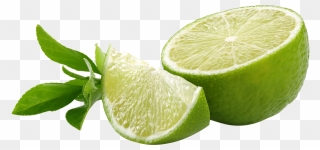Lemon Clipart Green - Green Lemon Slice Png Transparent Png