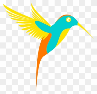 Colorful Birds Clipart Hd - Png Download