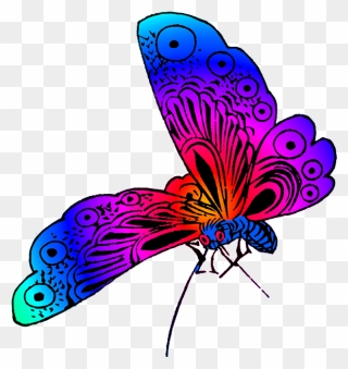 Colorful Beautiful Butterfly Images, Purple Butterfly - Butterfly Line Color Png Clipart