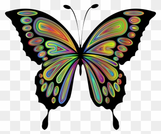 Butterfly Clipart - Png Download