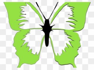 Transparent Green Butterfly Png - Pink Black And White Butterfly Clipart