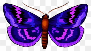Butterfly 29 Clip Arts - Butterflies - Png Download