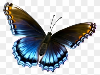 Butterflies Transparent Png Pictures - Butterfly Images Hd Download Clipart
