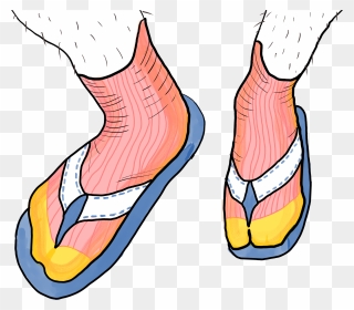 Feet Clipart Sandal - Transparent Png Socks And Sandals