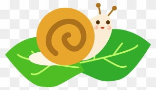 Snail Animal Clipart - 6 月 イラスト フリー - Png Download