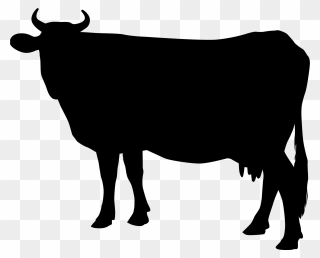 Cattle Silhouette Clip Art - Pig Vector - Png Download