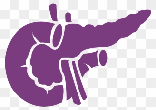 Pancreas Noun 959960 7b3d80 - Pancreatic Logo Clipart