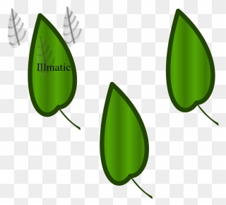 Palm Tree Clipart