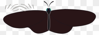 Butterfly Svg Clip Arts - Png Download