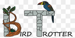 Birdtrotter Budget Birding Ecotours - Cartoon Clipart
