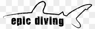 Shark Divers Logos Clipart