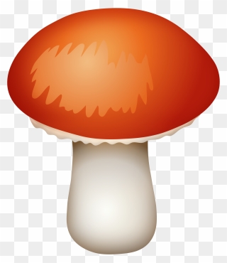 Funky Clipart Mushroom - Clip Art Mushroom Png Transparent Png