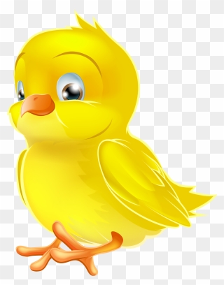 Free Baby Chicks Png, Download Free Clip Art, Free - Duck Transparent Png