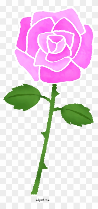 Transparent Flowers Garden Roses Drawing Color For - イラスト 紫 の バラ Clipart