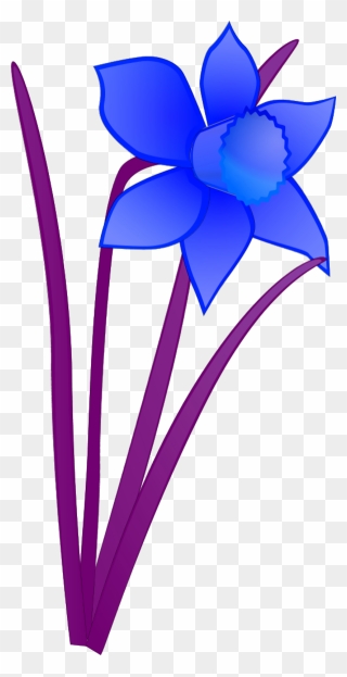 Vector Clip Art - Blue Daffodil Clipart - Png Download