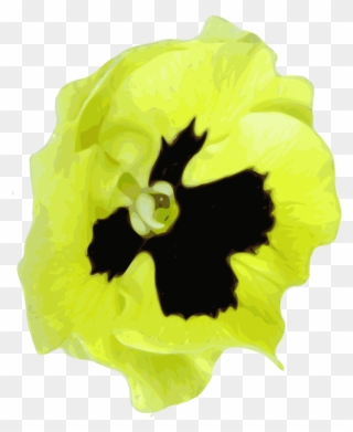 Plant,flower,petal - Pansy Clipart