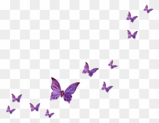Lavender Clipart Lavender Butterfly - Transparent Background Butterflies Png