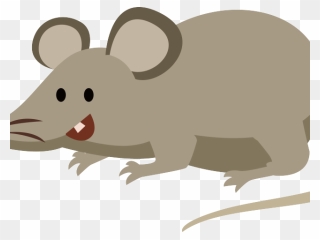 Cartoon Mouse Animal Png Clipart