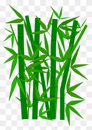 Bamboo Clipart - Bamboo Leaves Clipart - Png Download