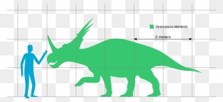 Dinosaurs Svg Triceratops - Triceratops Compared To Human Clipart