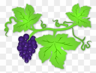 Free Printable Grape Leaves - Clip Art Grapes Leaf - Png Download
