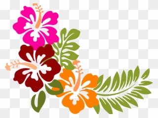 Hibiscus Image Clipart - Png Download