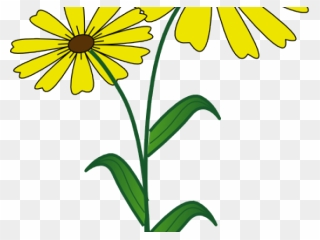 Stem Clipart Daisy Outline - Png Download