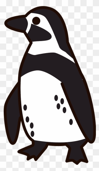 Humboldt Penguin Clipart - ペンギン イラスト 無料 - Png Download