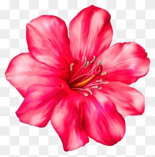 Pink Clipart Flower Image Transparent Library Exotic - Realistic Clip Art Flowers - Png Download