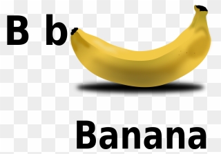 Transparent Plantain Png - B For Banana Clipart