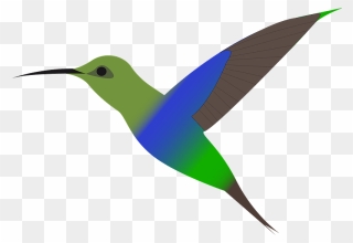 Hummingbird Clipart - Clip Art - Png Download