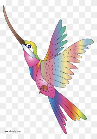 Hummingbird Clipart Parrot - Imagen De Colibri Animado - Png Download