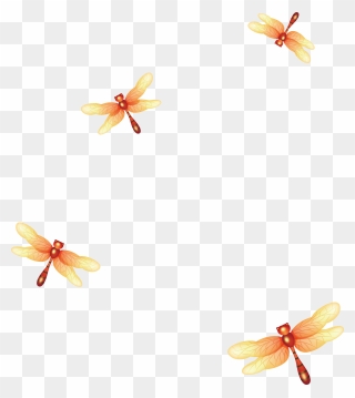 Orange Clipart Dragonfly - Transparent Cute Flower Cartoon - Png Download