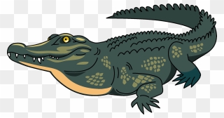 Crocodile Clipart - Png Download