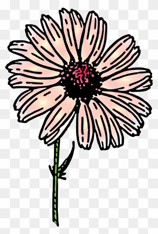 Colored Daisy 2 Small Clipart 300pixel Size, Free Design - Clip Art - Png Download