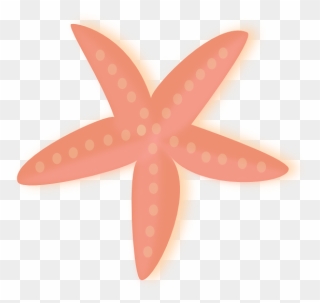 Transparent Starfish Clip Art Png - Starfish
