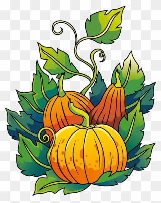 Pumpkins Clipart - Pumpkin - Png Download