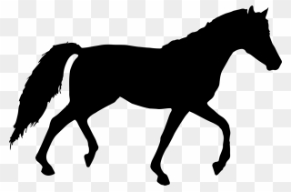 Horse Silhouette Clip Art - Horse Silhouettes - Png Download