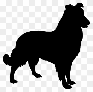 Anatolian Shepherd Yorkshire Terrier Sheltie German - Silhueta De Animais Cachorro Clipart