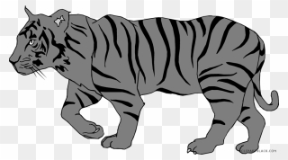 Animal Free Black Images - Tiger Sketch For Coloring Clipart