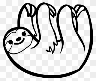 Two Toed Sloth Drawing Clipart