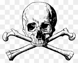 Free Photo Danger Halloween - Skull And Bones Png Clipart