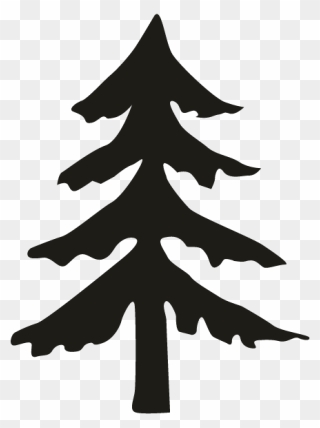 Fir Pine Spruce Christmas Tree - Simple Pine Tree Silhouette Png Clipart