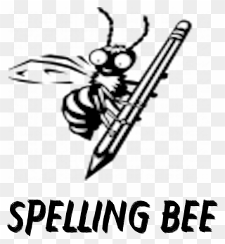 Transparent Spelling Bee Png - Bee Clip Art