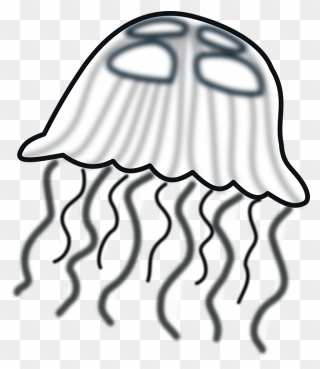 Jellyfish Black White - Jelly Fish Clipart - Png Download
