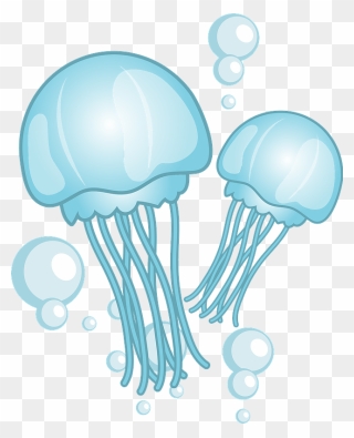 Jellyfish Clipart - Jellyfish - Png Download