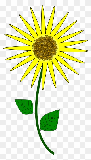 Sunflower Cartoon Clipart