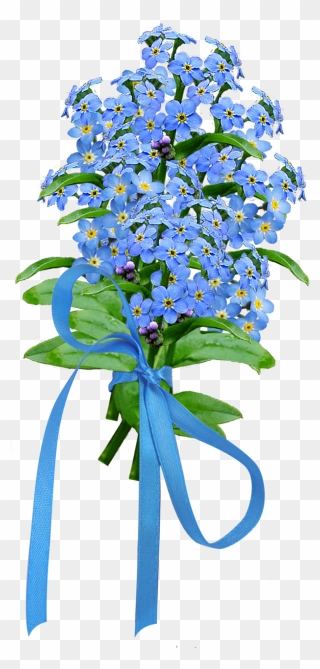 Forget Me Not Png Image - Forget Me Not Flower Bouquet Clipart