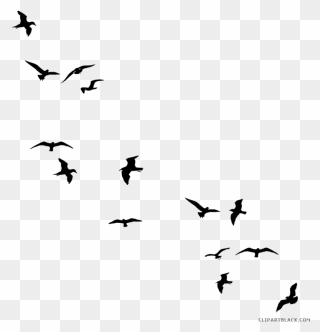 Transparent Flying Bird Clipart Black And White - Birds Silhouette Png